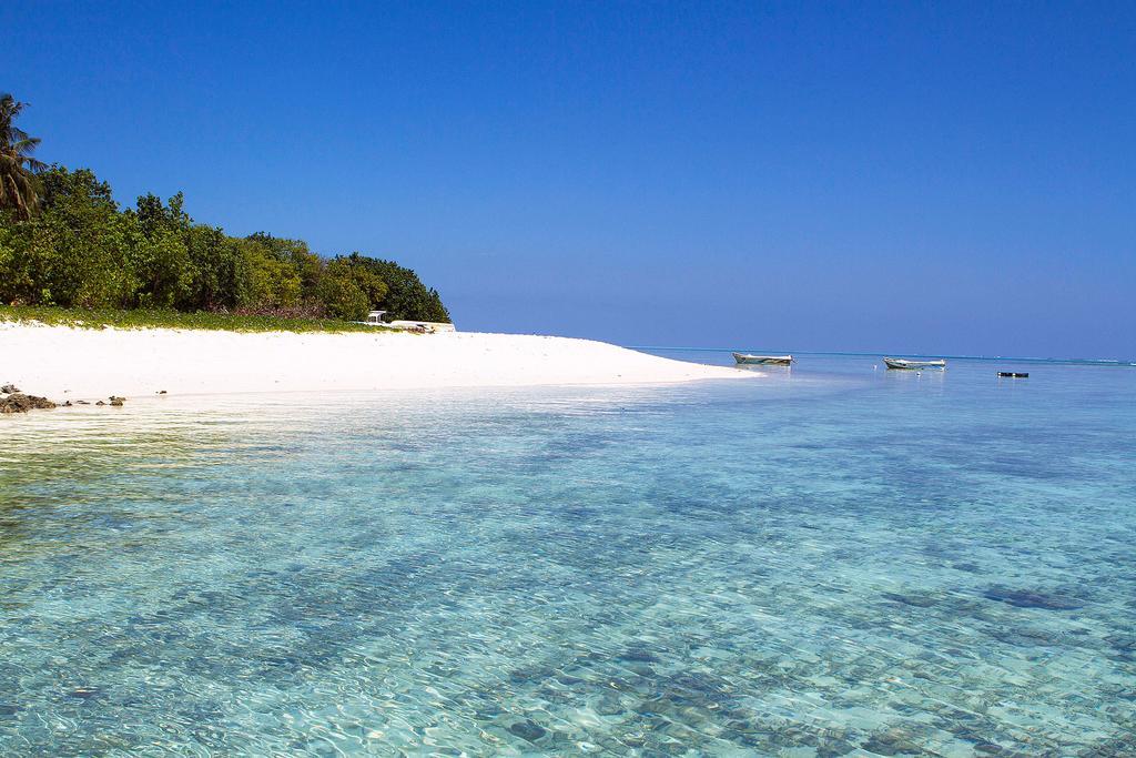 Tropic Tree Maldives Hotel Gulhi Exterior photo