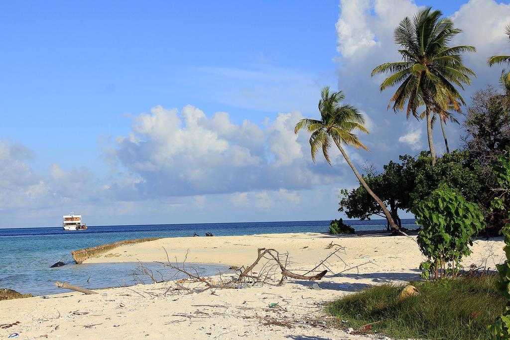 Tropic Tree Maldives Hotel Gulhi Exterior photo