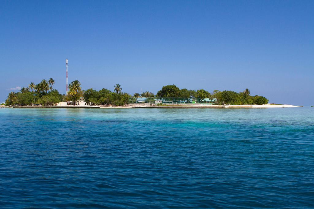 Tropic Tree Maldives Hotel Gulhi Exterior photo